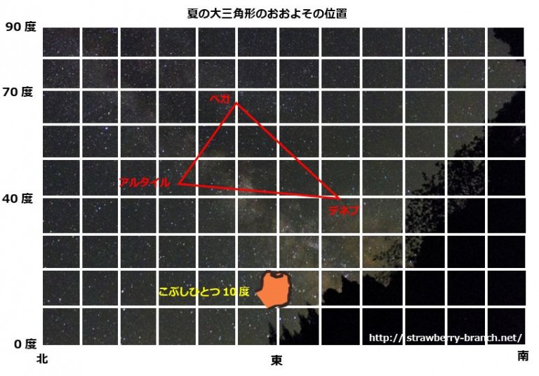 夏の大三角形の自由研究 見つけ方から記録・まとめまで！早見表の解説も！ 苺の一枝＜IchigoIchie＞