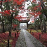 京都の紅葉で右京区の穴場を厳選！鹿王院・厭離庵・愛宕念仏寺