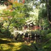 京都 女子旅のおすすめコース！癒しのスポット 苔寺で写経体験！