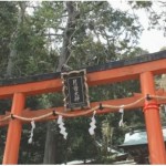 京都女子旅のおすすめコース！パワースポット月読神社で子授け・安産祈願！！