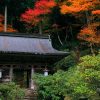 京都の紅葉で北部のハイキング穴場を厳選！常照皇寺・志明院・峰定寺！