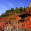京都の紅葉で宇治・舞鶴の穴場を厳選！興聖寺・金剛院！