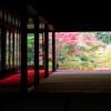 京都の紅葉で左京区の穴場を厳選⑥！霊鑑寺・天授庵・鷺森神社！
