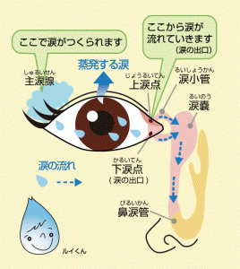 目の腫れを治す方法