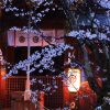 京都の桜 おすすめの穴場撮影スポット|北区編|今宮神社・上品蓮台寺・建勲神社