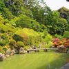 京都で庭園のつつじがおすすめの穴場スポット7選！見頃や見どころ情報！